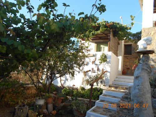 a house with a tree and stairs in front of it at PATMOS Mathios Studios- apartments in Patmos