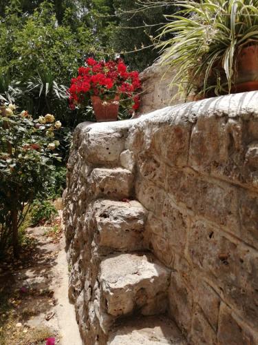 Φωτογραφία από το άλμπουμ του Il Trullo del Cadetto σε Francavilla Fontana
