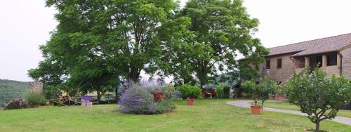a yard with trees and plants and a house at Agriturismo Podere Luchiano in Amelia