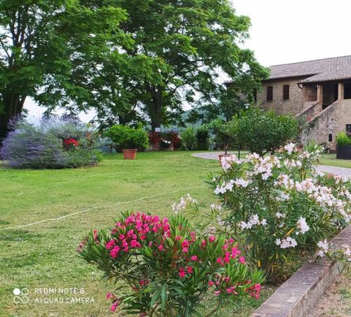 a garden with pink flowers in a yard at Agriturismo Podere Luchiano in Amelia