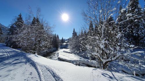 a snow covered road with trees and the sun in the sky at Sofia in Balderschwang