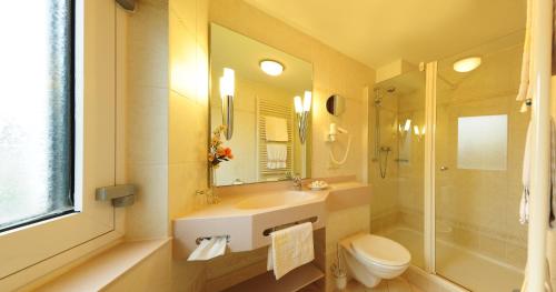 La salle de bains est pourvue d'un lavabo, de toilettes et d'une douche. dans l'établissement Hotel Alte Post Garni, à Ginsheim-Gustavsburg