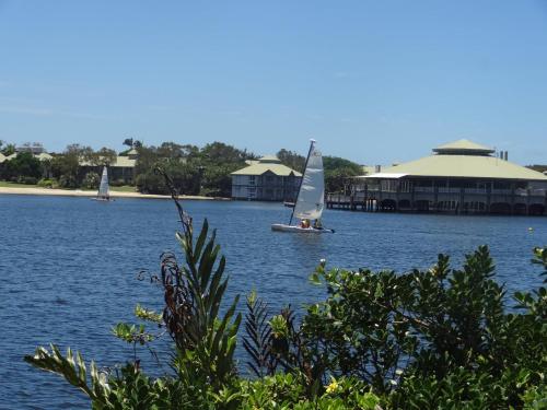 two sailboats on a lake with buildings in the background at Large Family Sized Unit with Watersports, Maroochy River, Lagoon, and Beach Access in Twin Waters