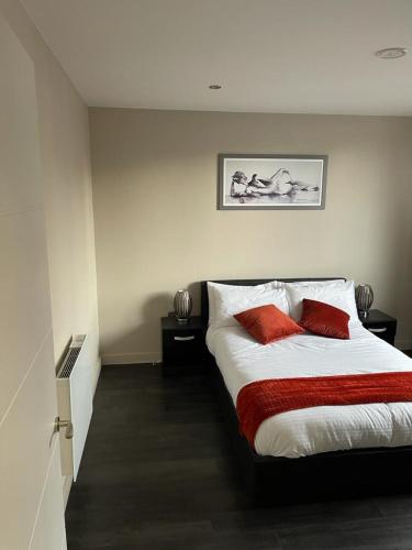 1 dormitorio con 1 cama con 2 almohadas rojas en The Whyte House, en Sheffield