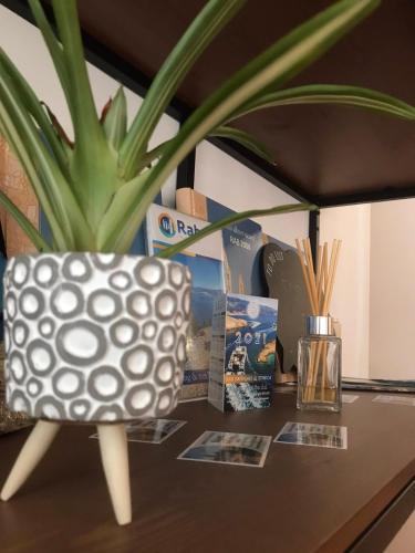 a table with a potted plant and a vase on it at Riviera Rooms and Apartments in Rab