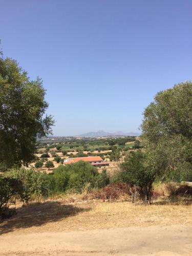 Fotografie z fotogalerie ubytování Domo De Enas v destinaci Olbia