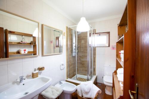 a bathroom with a sink and a shower at Quinta de Carvalhal - Casa da Vinha in Guimarães