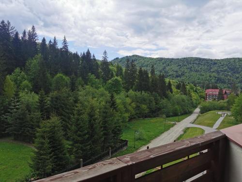 a view of a road in the mountains with trees at Monte Cervo Bio Hotel & Spa in Covasna