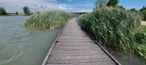 a wooden bridge over a body of water at Provence, Studio climatisé, vue lac Spirou 400 metres, Avignon 15 mn in Monteux