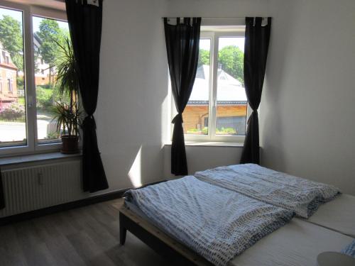 a bedroom with a bed and two windows at Ferienanlage Markus Nitsch in Bärenstein