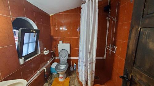 a bathroom with a toilet and a shower and a sink at Casa Rustica Fehér Fekete Vendégházak in Sovata