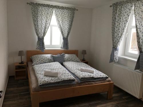 a bedroom with a bed with two windows at Apartmány Přeseka in Třeboň