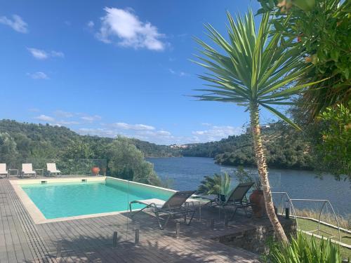 a swimming pool with chairs and a palm tree at Montes de Charme (AL 6288) in Avis