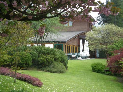 a house with a green yard with trees and bushes at Hotel Aurora in Chiavenna
