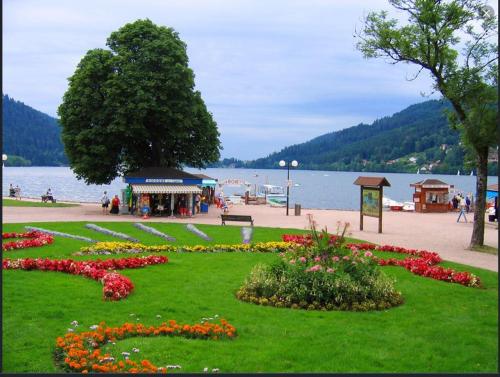 un parc avec des fleurs dans l'herbe à côté d'un lac dans l'établissement APPT 3* LE HAUT DES LACS, à Xonrupt-Longemer