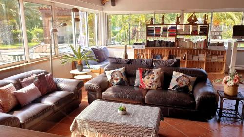 a living room with leather couches and a book shelf at Hotel Olmuccio in Sainte-Lucie de Porto-Vecchio