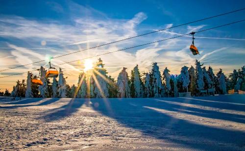 a ski lift in the snow with snow covered trees at Aparthotel Klínovec Views in Loučná pod Klínovcem