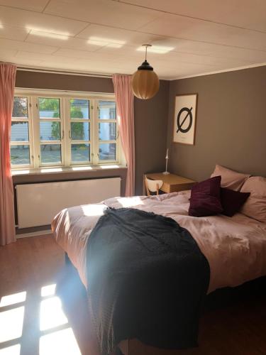 een slaapkamer met een groot bed en een raam bij Askes Oase Guest Apartment in Fjællebroen