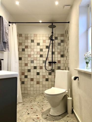 a bathroom with a toilet and a shower at Askes Oase Guest Apartment in Fjællebroen