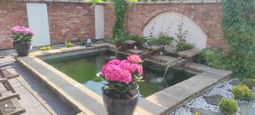 a pool of water with pink flowers in a garden at Noclegi Szymrych in Chełmsko Śląskie