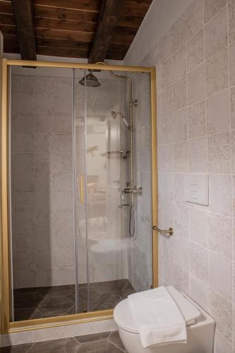 a bathroom with a shower with a toilet and a glass shower stall at Villa La Varik 3 in Litochoro
