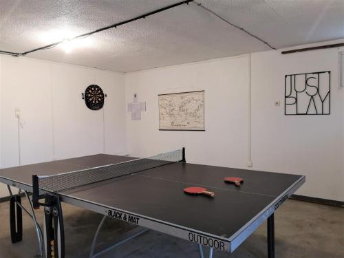 a ping pong table in a room with a ping pong racket at Le Jardin d'Ana, 1,5km du Zoo, 2km du Centre-Ville in Seigy