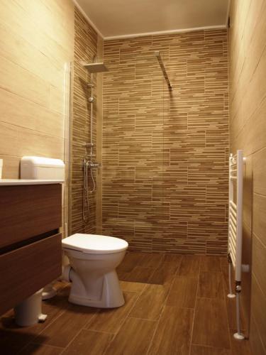 a bathroom with a toilet and a shower at Garden Club Panzió in Balatonmáriafürdő