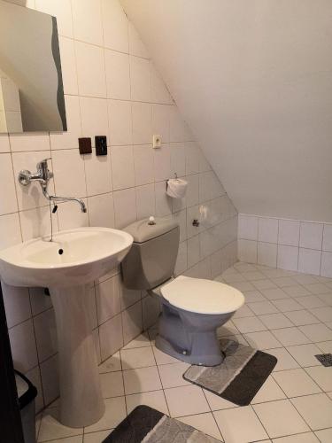 a bathroom with a toilet and a sink at Ubytovanie u Božky in Dlhá nad Oravou