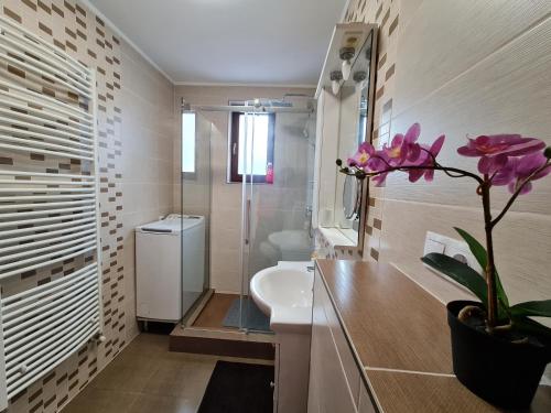 a bathroom with a sink and a toilet and a flower at Select City Center in Târgu-Mureş