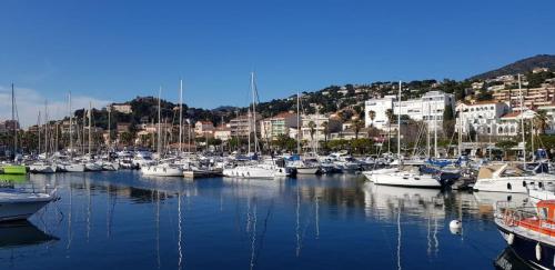 Un montón de barcos están atracados en un puerto deportivo. en Studio avec terrasse 2 personnes, en Le Lavandou