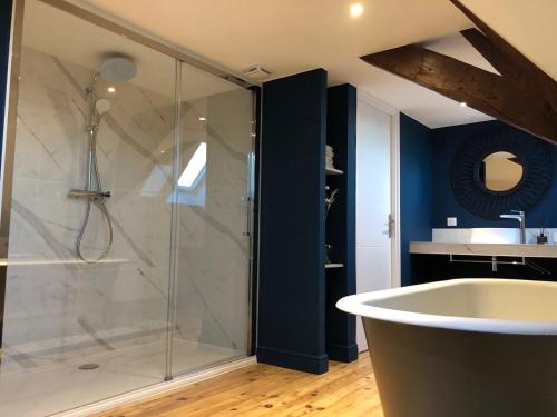 a bathroom with a shower and a tub and a sink at Les chambres Berguoises Superbe Chambre au coeur de Bergues in Bergues