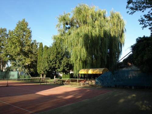 a weeping willow tree on a tennis court at Garden Club Panzió in Balatonmáriafürdő