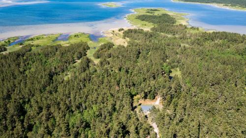 an aerial view of a forested area with water and trees at Jõeranna Lodge in Paope