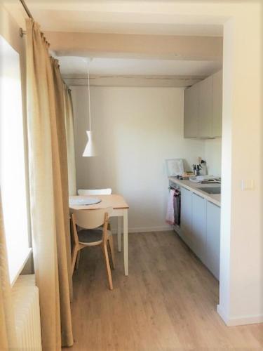a small kitchen with a table and a sink and a table at Hotel F-RITZ in Schleswig
