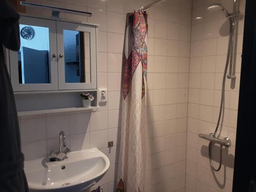ein Bad mit einem Waschbecken und einer Dusche in der Unterkunft Le Petite in Sittard