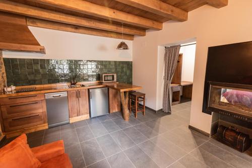 a large kitchen with a fireplace in a room at Apartamentos Rurales Casa Llongo in Coaña