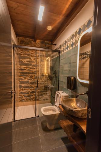 a bathroom with a shower and a toilet and a sink at Apartamentos Rurales Casa Llongo in Coaña
