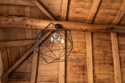 una araña en una jaula colgando del techo en Apartamentos Rurales Casa Llongo, en Coaña