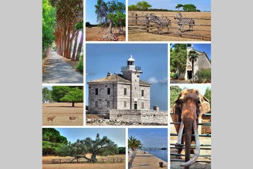 a collage of photos with an elephant and a building at Flora relax house, free parking in Peroj