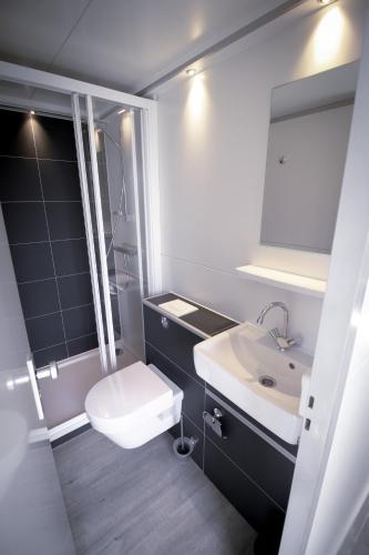 a bathroom with a white toilet and a sink at Blackbird in Biddinghuizen