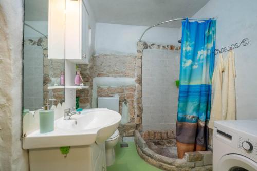 a bathroom with a sink and a toilet and a shower at Holiday house Ruba in Marčana