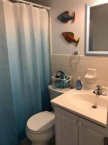 Venice Villas * Studio #61 – Photos 3