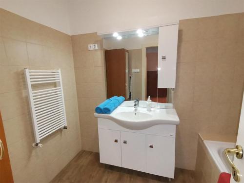 a bathroom with a white sink and a mirror at Carpe Diem Apartment in Hajdúszoboszló
