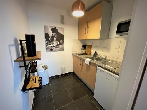 una pequeña cocina con fregadero y encimera en Design Apartment Vendome en Friburgo de Brisgovia