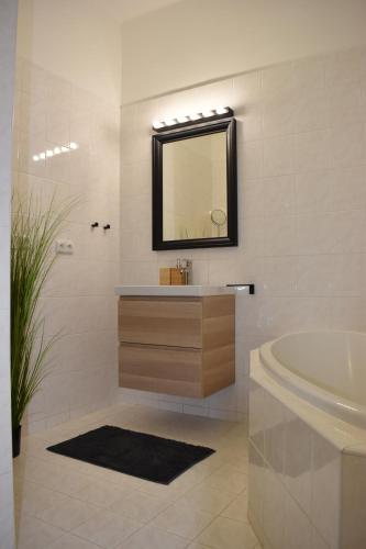 a bathroom with a sink and a tub and a mirror at Chateau Děčín in Děčín