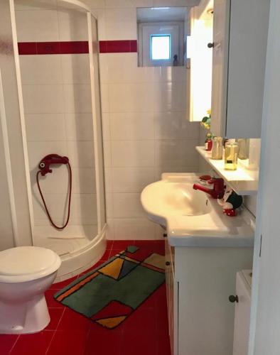 a bathroom with a shower and a toilet and a sink at Villa Amalaya in Flampouria