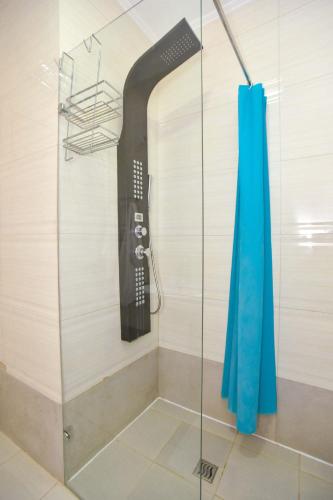 a bathroom with a blow dryer in a shower at Victoria Center Apartments in Budva