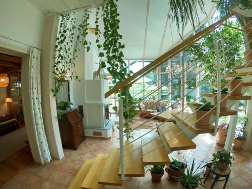 a room with a staircase and lots of plants at Teichwies'n Alm Wilde Wunder Card in Lackenhof