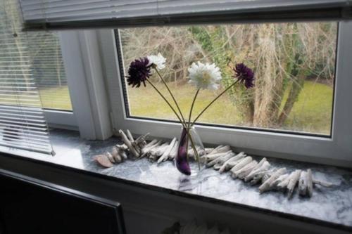a vase with flowers sitting on a window sill at Sophia Hameln - maritim wohnen im Weserbergland in Hessisch Oldendorf