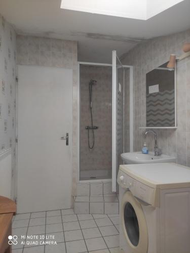 a bathroom with a shower and a washing machine at POIRSON THIERY in Hagécourt